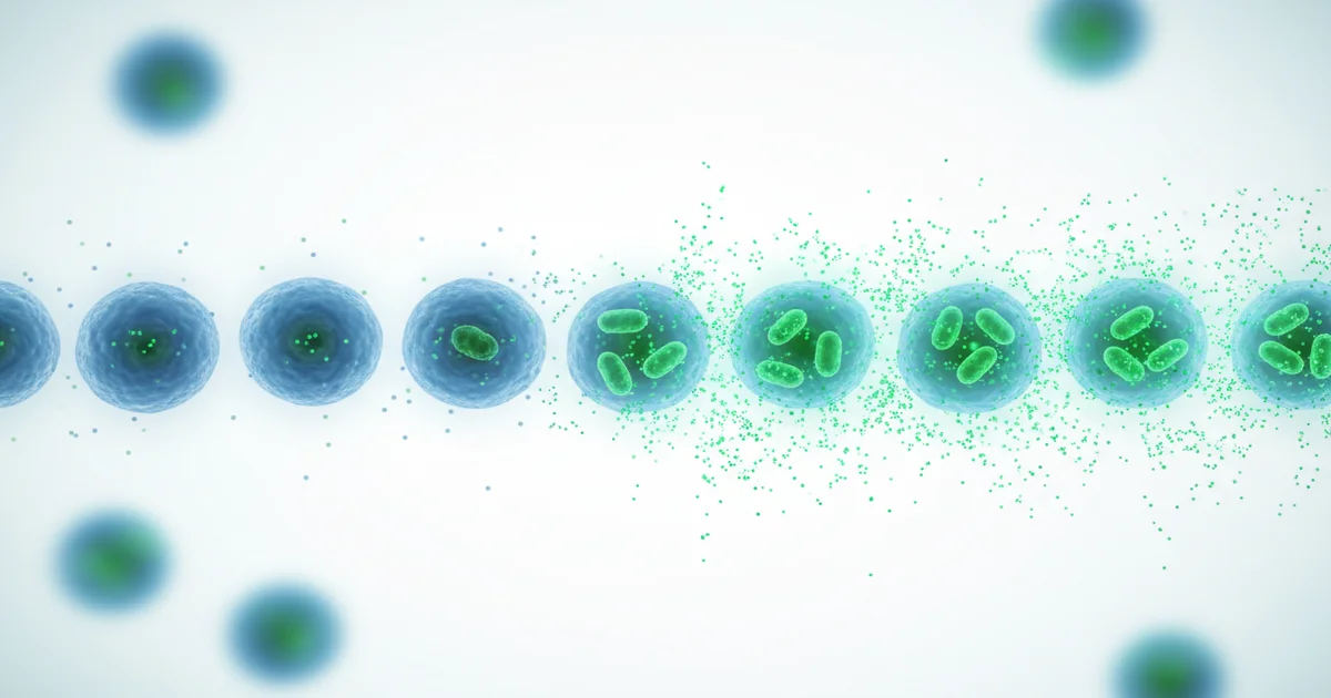 Mệt Mỏi Mãn Tính: Nguyên Nhân Từ Tế Bào Và Cách Phục Hồi Năng Lượng